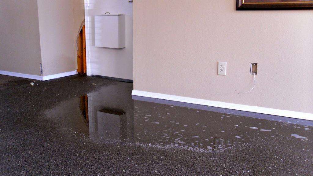 What You Need to Know About Water Damage Restoration